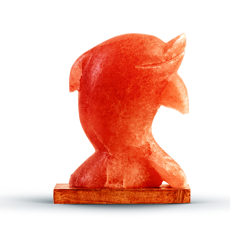 Figure Shape Salt Lamps